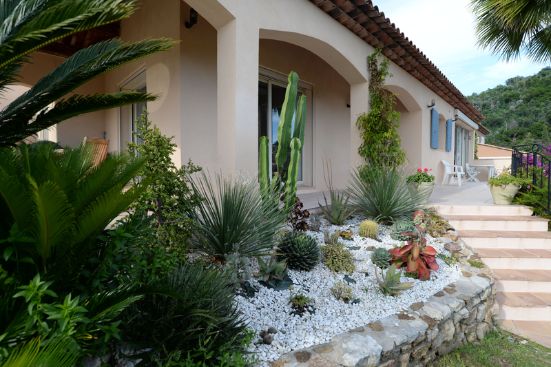 img_landscape/exterieur_succulents.jpg